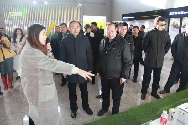 分(fēn)公司（管理(lǐ)局）莅臨龍王